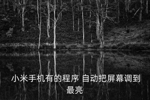  小米手機有的程序 自動把屏幕調(diào)到最亮