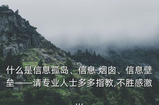什么是信息孤島、信息 煙囪、信息壁壘——請專業(yè)人士多多指教,不勝感激...