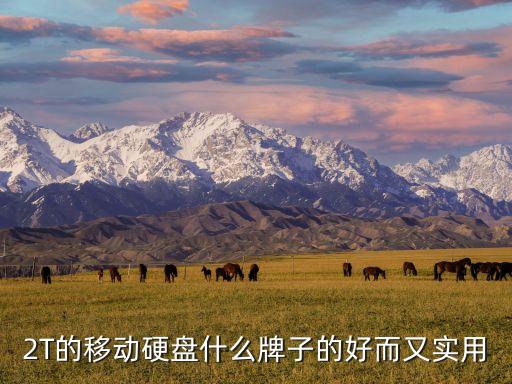 2T的移動(dòng)硬盤什么牌子的好而又實(shí)用