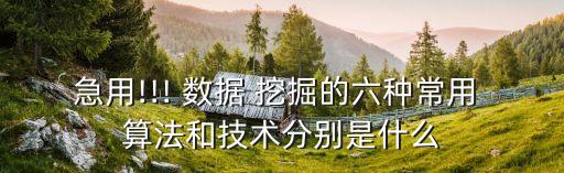 急用!!! 數(shù)據(jù) 挖掘的六種常用 算法和技術分別是什么