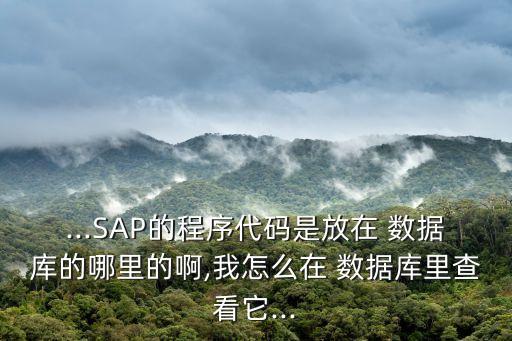 ...SAP的程序代碼是放在 數(shù)據(jù)庫的哪里的啊,我怎么在 數(shù)據(jù)庫里查看它...