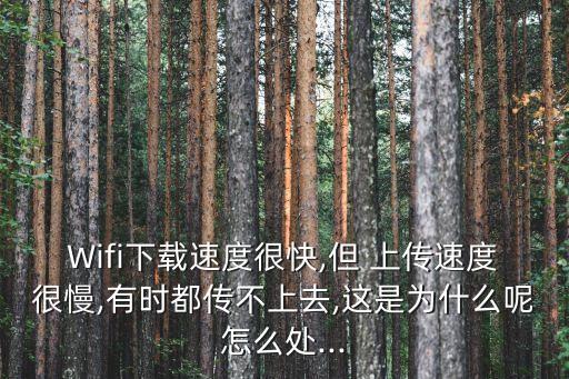 Wifi下載速度很快,但 上傳速度很慢,有時(shí)都傳不上去,這是為什么呢怎么處...