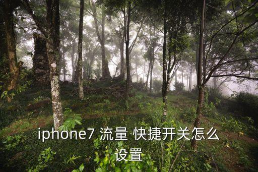 iphone7 流量 快捷開關怎么設置