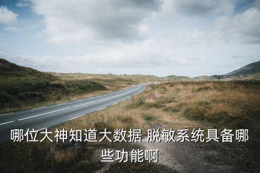哪位大神知道大數(shù)據(jù) 脫敏系統(tǒng)具備哪些功能啊