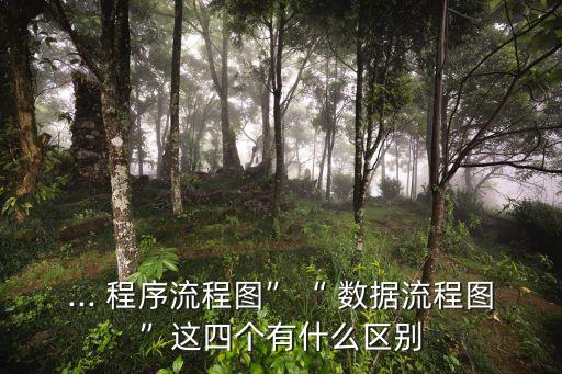 數(shù)據(jù)與程序有什么區(qū)別,數(shù)據(jù),信息,程序區(qū)別