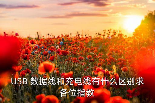 USB 數(shù)據(jù)線(xiàn)和充電線(xiàn)有什么區(qū)別求各位指教