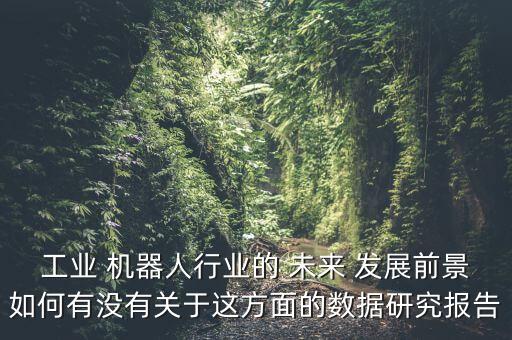 工業(yè) 機器人行業(yè)的 未來 發(fā)展前景如何有沒有關(guān)于這方面的數(shù)據(jù)研究報告