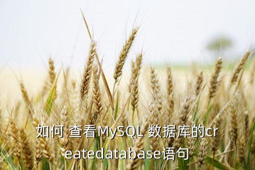 mysql 查看數(shù)據(jù)庫(kù)參數(shù),MySQL查看配置參數(shù)命令