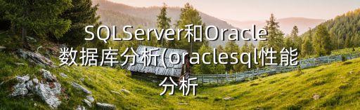 SQLServer和Oracle 數(shù)據(jù)庫(kù)分析(oraclesql性能分析