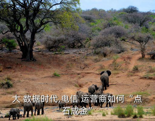 運營商 大數(shù)據 變現(xiàn),聯(lián)通運營商額度變現(xiàn)