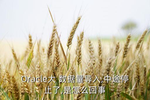 Oracle大 數(shù)據(jù)量導(dǎo)入,中途停止了,是怎么回事