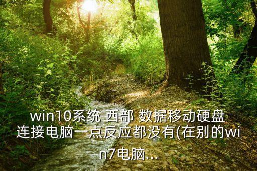 西部數(shù)據(jù)換接口
