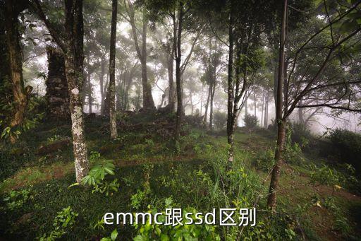 emmc跟ssd區(qū)別