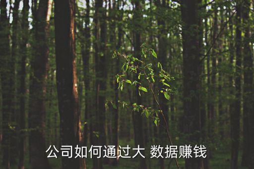 公司如何通過大 數(shù)據(jù)賺錢