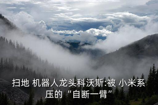 掃地 機(jī)器人龍頭科沃斯:被 小米系壓的“自斷一臂”