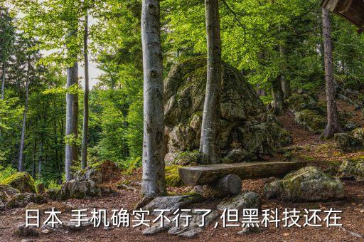 貼吧夏普機(jī)器人手機(jī),夏普 電話機(jī)器人 字幕