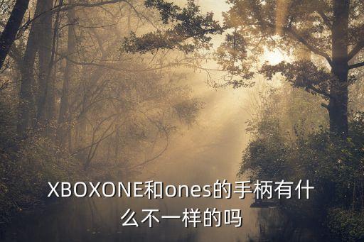 xbox one 光暗自動調(diào)節(jié)