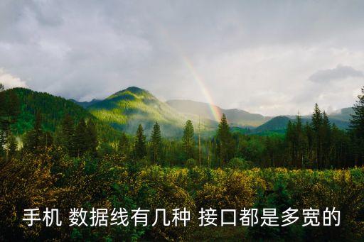 手機(jī) 數(shù)據(jù)線有幾種 接口都是多寬的