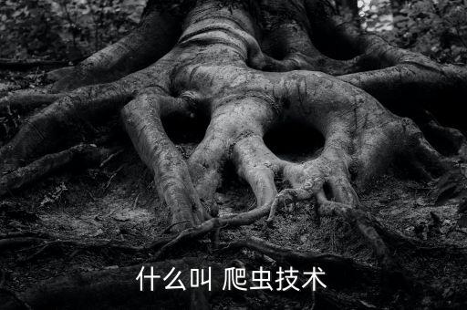 簡單網(wǎng)絡(luò)爬蟲機(jī)器人,一個(gè)簡單網(wǎng)絡(luò)爬蟲的編寫
