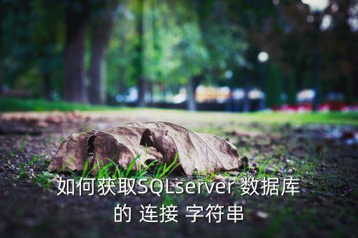 如何獲取SQLserver 數(shù)據(jù)庫的 連接 字符串