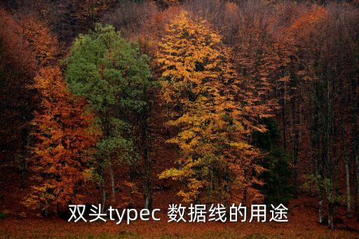 雙頭typec 數(shù)據(jù)線的用途