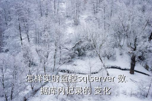 怎樣實(shí)時(shí)監(jiān)控sqlserver 數(shù)據(jù)庫(kù)內(nèi)記錄的 變化