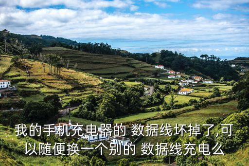 我的手機充電器的 數(shù)據(jù)線壞掉了,可以隨便換一個別的 數(shù)據(jù)線充電么