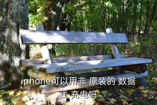 iphone可以用非 原裝的 數(shù)據(jù)線 充電嗎