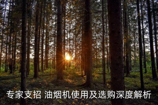 專家支招 油煙機(jī)使用及選購(gòu)深度解析