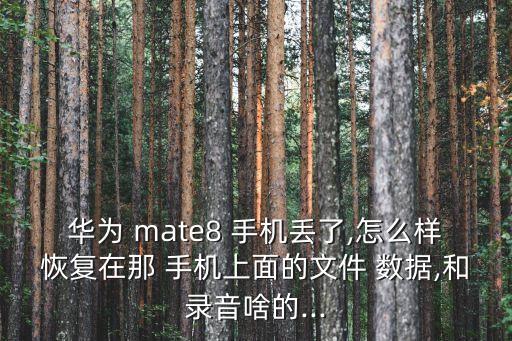 華為 mate8 手機(jī)丟了,怎么樣恢復(fù)在那 手機(jī)上面的文件 數(shù)據(jù),和錄音啥的...