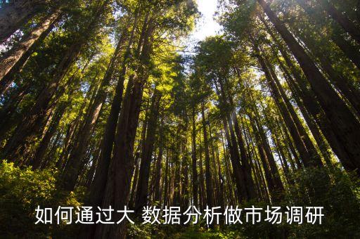 如何通過大 數據分析做市場調研