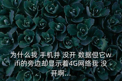 為什么我 手機(jī)并 沒開 數(shù)據(jù)但它wifi的旁邊卻顯示著4G網(wǎng)絡(luò)我 沒開啊...