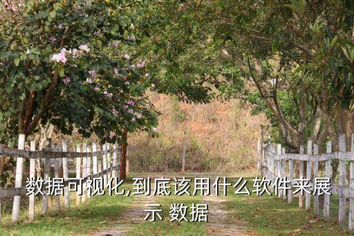  數據可視化,到底該用什么軟件來展示 數據