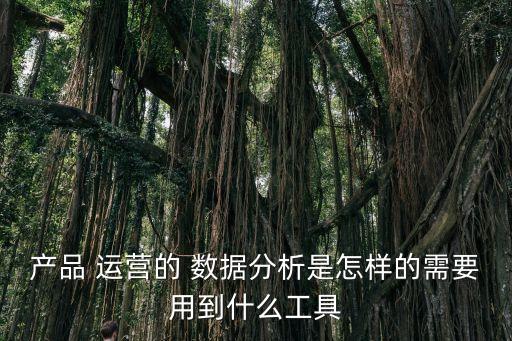 產(chǎn)品 運營的 數(shù)據(jù)分析是怎樣的需要用到什么工具