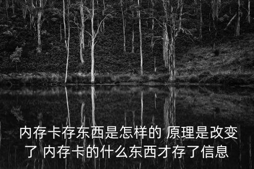 內(nèi)存卡儲(chǔ)存數(shù)據(jù)原理,switch需要內(nèi)存卡儲(chǔ)存數(shù)據(jù)么