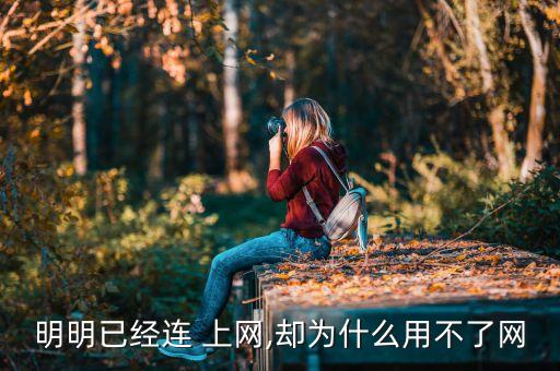 手機(jī)數(shù)據(jù)正常無法上網(wǎng)嗎,手機(jī)移動數(shù)據(jù)無法上網(wǎng),wifi正常