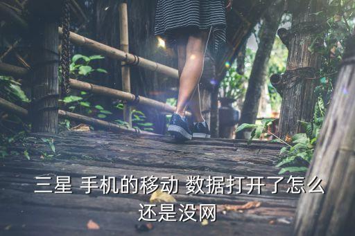三星手機(jī)為什數(shù)據(jù)開(kāi)開(kāi)之后不能用