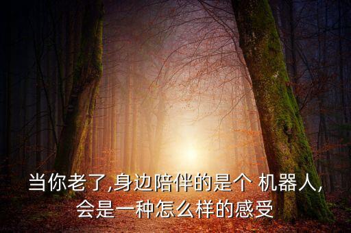 當你老了,身邊陪伴的是個 機器人,會是一種怎么樣的感受