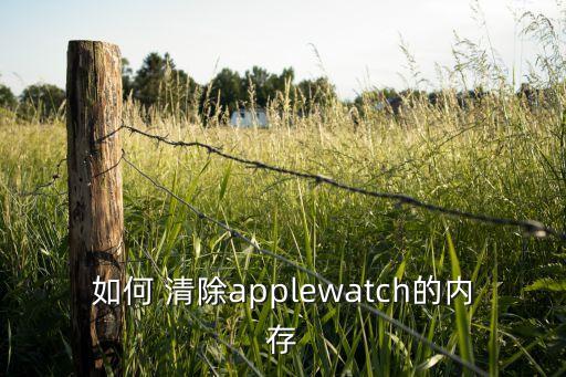 如何 清除applewatch的內(nèi)存