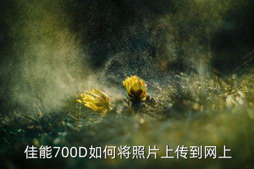  佳能700D如何將照片上傳到網(wǎng)上