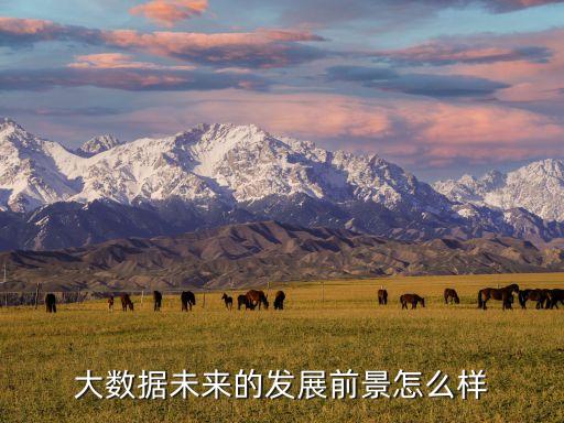大數(shù)據(jù)未來的發(fā)展前景怎么樣