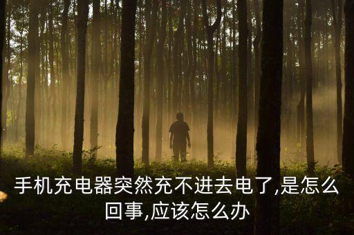 手機充電器突然充不進去電了,是怎么回事,應(yīng)該怎么辦