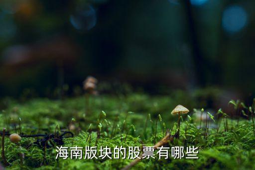 海南版塊的股票有哪些