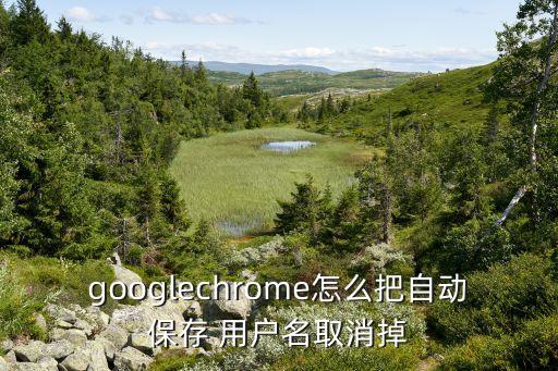 谷歌瀏覽器用戶數(shù)據(jù)