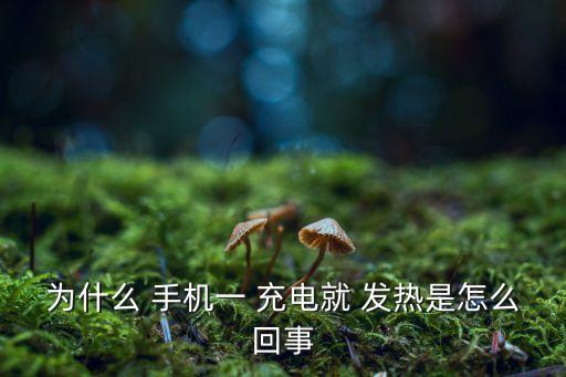 為什么 手機一 充電就 發(fā)熱是怎么回事