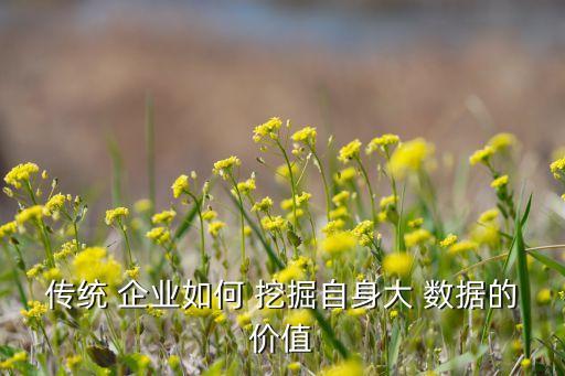 傳統(tǒng) 企業(yè)如何 挖掘自身大 數(shù)據(jù)的價值