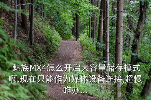  魅族MX4怎么開(kāi)啟大容量?jī)?chǔ)存模式啊,現(xiàn)在只能作為媒體設(shè)備連接,超慢咋辦...