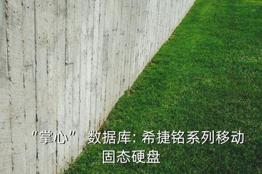 “掌心” 數(shù)據(jù)庫: 希捷銘系列移動(dòng)固態(tài)硬盤