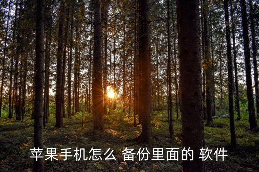 蘋果手機(jī)怎么 備份里面的 軟件