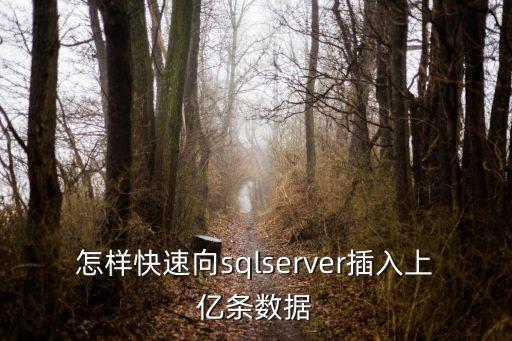 數(shù)據(jù)庫 上億數(shù)據(jù)庫,簡述數(shù)據(jù)庫和數(shù)據(jù)庫系統(tǒng)的異同